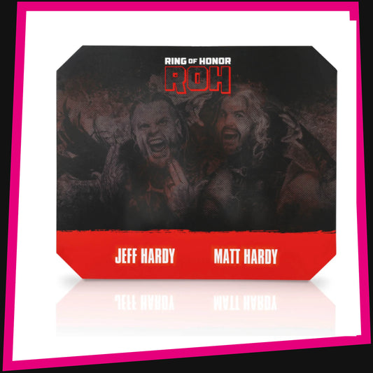 Jeff Hardy & Matt Hardy - 1/3000 ROH Ring of Honor Vault Exclusive Jazwares AEW