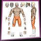 Surfer Sting (Orange Tights) - AEW Ringside Exclusive Jazwares *ETA: DECEMBER*